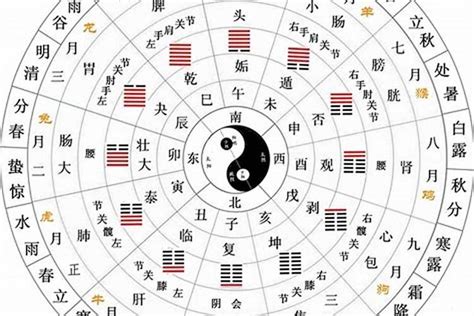 五行十干|天干地支（中国古代天文历法）